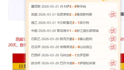 友谊盛宴·友谊杯：球场邂逅，情深意长