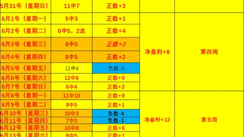 2026前瞻澳足总赛事亮点解析，不容错过的精彩对决